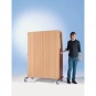 Flat-Screen-Schrank fahrbar, bis 44 Zoll Diagonale, Höhe 184 cm, 132x75 cm (B/T) 